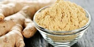 Ginger Extract Powder