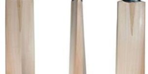 Miniature Cricket Bat