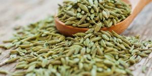 Fennel Seeds