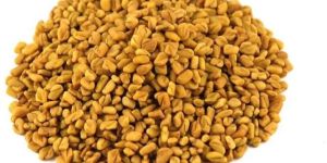 Fenugreek Seeds