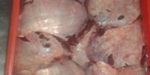 Frozen Buffalo Cheek