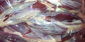 Frozen Buffalo Shinshank