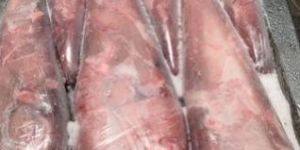 Frozen Buffalo Tenderloin