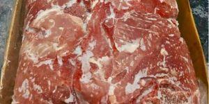 Frozen Buffalo Topside