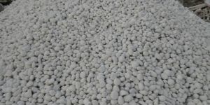 White Marble Pebbles