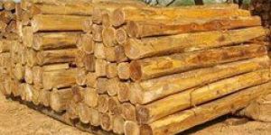 Ghana Teak Wood