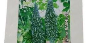 Rashi-20 Bitter Gourd Seeds