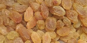 Raisins
