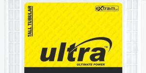 Tall Tubular Batteries