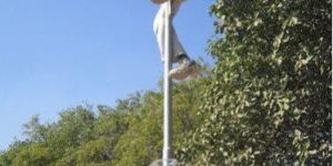 Solar Street Light Repairing Services
