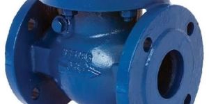 Check Valve