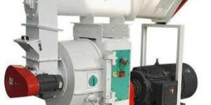 Cattle Feed Pellet Mill