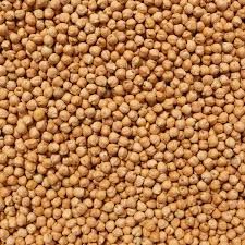 Black Chickpeas