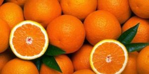 Organic Orange