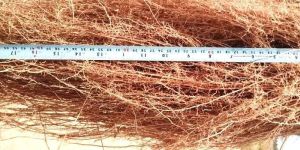 Vetiver Root