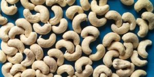 Cashew Nuts