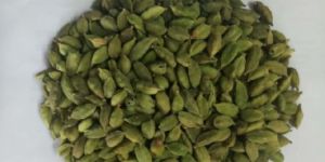 Green Cardamom