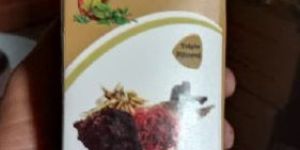 Aliyens Shilajit Syrup
