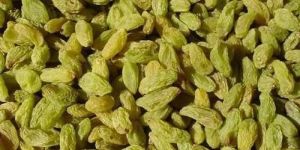 Fresh Green Raisins