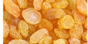 Organic Golden Raisins