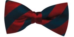 Silk Bow Ties