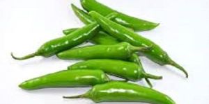 Fresh Green Chilli
