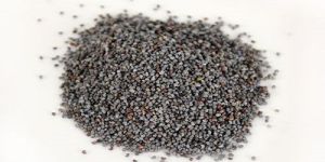 Poppy Seeds