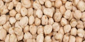 White Chickpeas