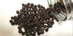 Black Pepper Seeds