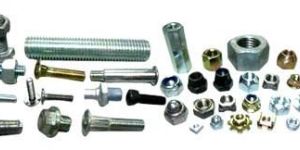 Bolt Nut