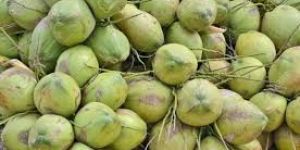 Raw Coconut