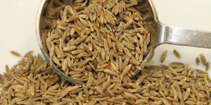 Cumin Seeds
