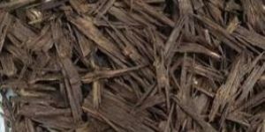 Agarwood Chips