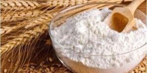 Pure Wheat Flour