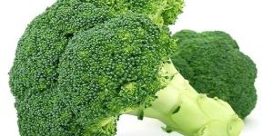 Fresh Broccoli