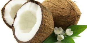Fresh Coconut
