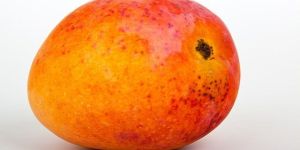 Fresh Mango