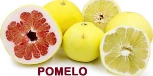 Fresh Pomelo