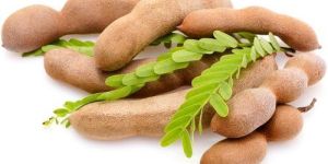 Fresh Tamarind