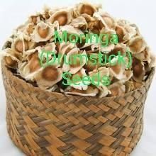 Moringa Seeds