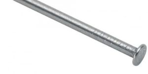Galvanized Nail