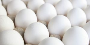 White Eggs