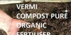 Jaivik Khad Vermicompost