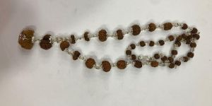 1-14 Mukhi Gaurishankar Rudraksha