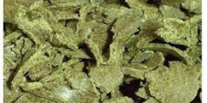 Cotton Seed Oil Cake