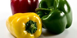 Green Capsicum