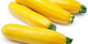 Yellow Zucchini