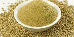 Green Coriander Powder