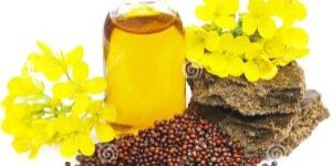 Organic Mustard Oil