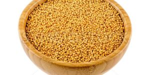 Whole Yellow Mustard Seeds